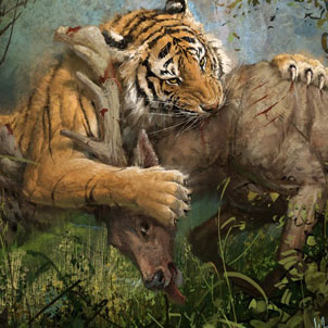 A hunting Siberian tiger