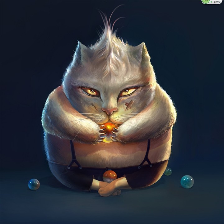 暴力猫