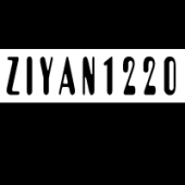 ZIYAN1220