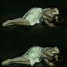 girl 过程