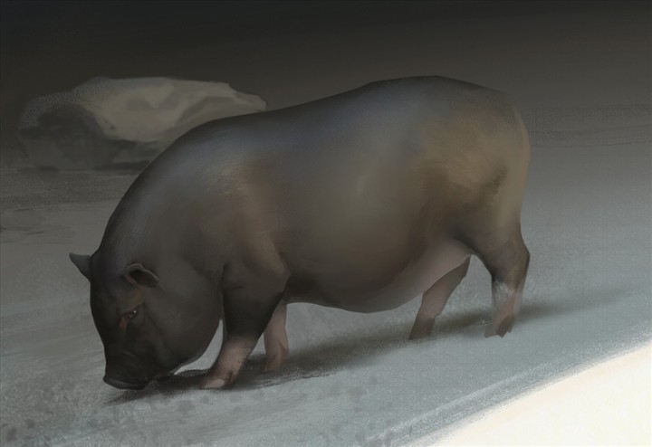 画个猪