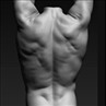 Muscle sculpt