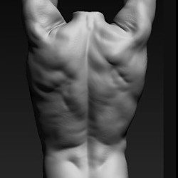 Muscle sculpt