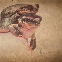 彩铅系列——蛙背上的故事