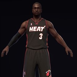 wade