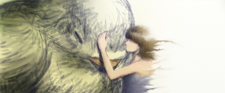 bird
