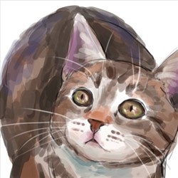喵