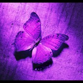 Purple_Dream