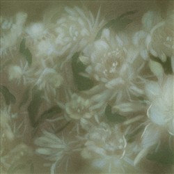 月之花