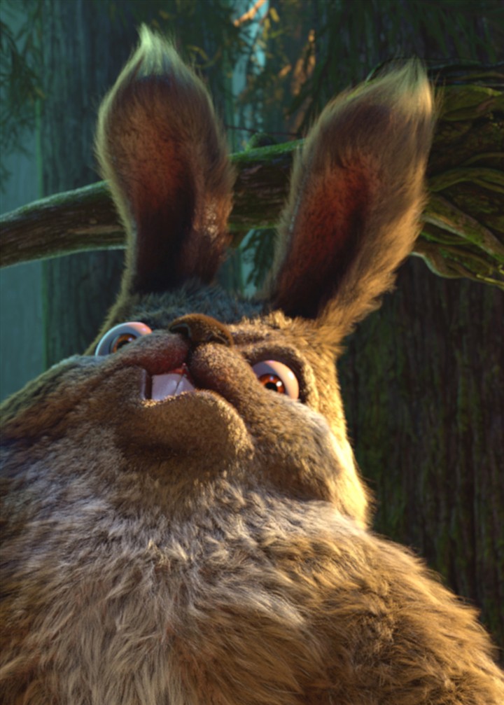 兔兔森林细部1