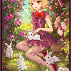 rabbit   girl