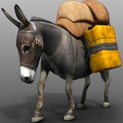 Donkey Quadruped Character Animation