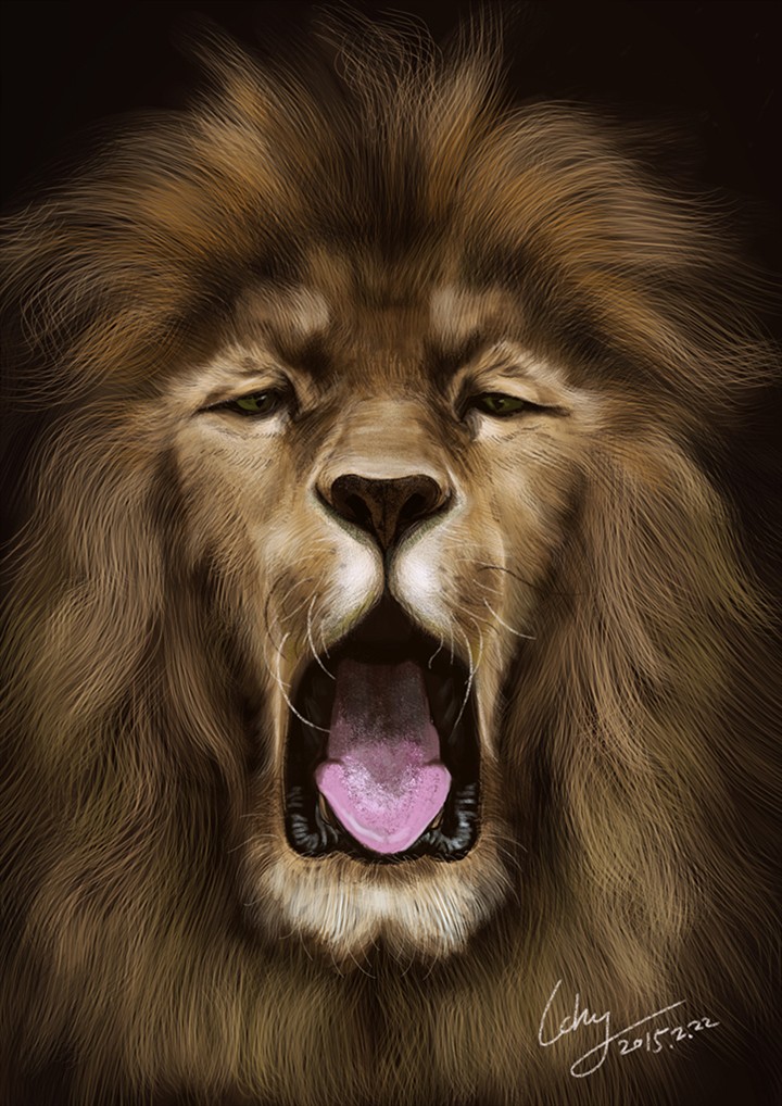 狮子啊。。。