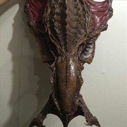 刺蛇