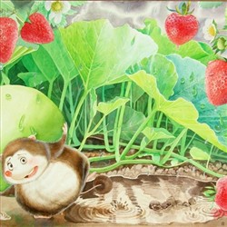 甜瓜