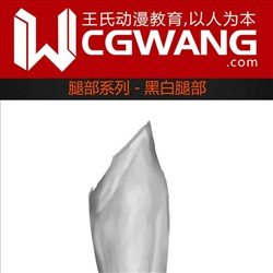 原画、插画、漫画、腿部、黑白腿部、CGWANG王氏教育集团、旺旺哒教程系列