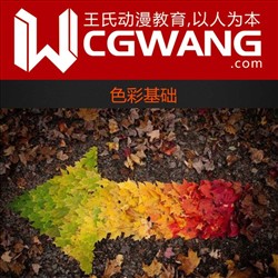 原画、插画、漫画、基础、色彩基础、CGWANG王氏教育集团、旺旺哒教程系列