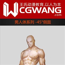 原画、插画、漫画、人体、45°侧面、CGWANG王氏教育集团、旺旺哒教程系列