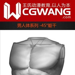 原画、插画、漫画、人体、45°躯干、CGWANG王氏教育集团、旺旺哒教程系列