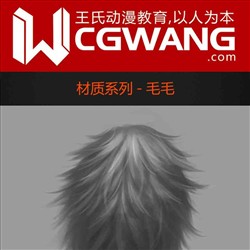原画、插画、漫画、材质、毛毛、CGWANG王氏教育集团、旺旺哒教程系列