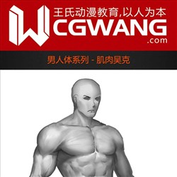 原画、插画、漫画、人体、肌肉吴克、CGWANG王氏教育集团、旺旺哒教程系列