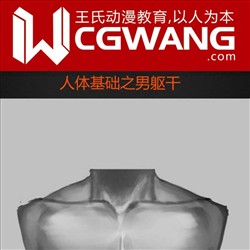 原画、插画、漫画、人体、男躯干、CGWANG王氏教育集团、旺旺哒教程系列