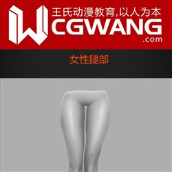 原画、插画、漫画、人体、女性腿部、CGWANG王氏教育集团、旺旺哒教程系列