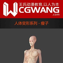 原画、插画、漫画、人体、瘦子、CGWANG王氏教育集团、旺旺哒教程系列