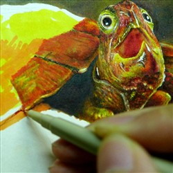 小乌龟练习 纯手绘