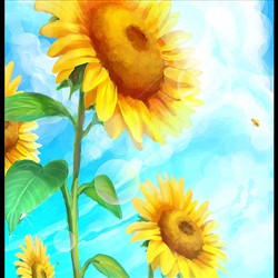 Sunflower Elevation Angle