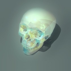 水晶头骨