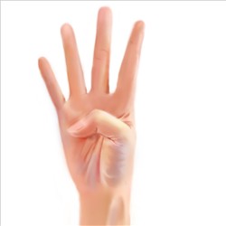 手指练习4