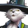 牛仔猫