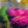 flower2